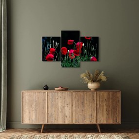 Kép - Pipacsok tánca (90x60 cm)