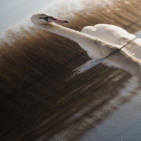 Hattyú képe (120x50 cm)
