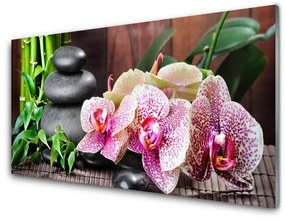 Üvegkép Bamboo Orchid Spa 100x50 cm 2 fogas