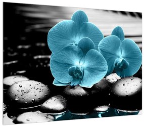 Kék orchidea képe (70x50 cm)