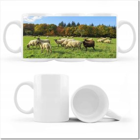 Fotó bögre Juh legeltetés Bárányok Juhok