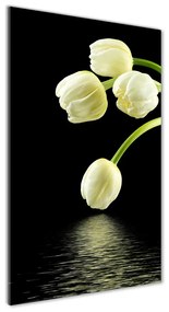 Akrilkép Fehér tulipán oav-53318527