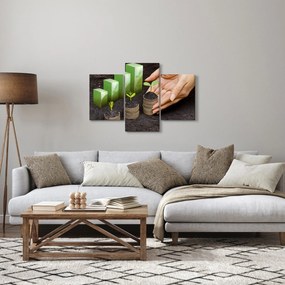 Kép - Növekedés (90x60 cm)