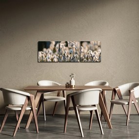 Kép - Keskenylevelű gyapjúsás (órával) (90x30 cm)