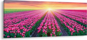 Tulipán mező és a nap képe (120x50 cm)