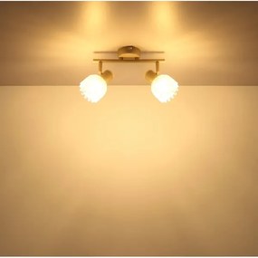 Globo 54317-2 - PLANTA spotlámpa 2xE14/40W/230V