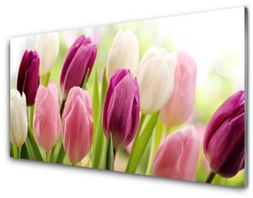 Akrilkép Tulipán virágok természet Meadow 120x60 cm 2 fogas