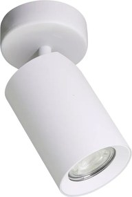 Zuma Line TORE TLS006-WH mennyezeti lámpa 1x35W/GU10 IP20