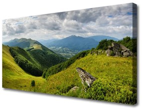Vászonkép Mountain Meadow Landscape 100x50 cm