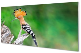 Akrilkép Fa színes papagáj 100x50 cm