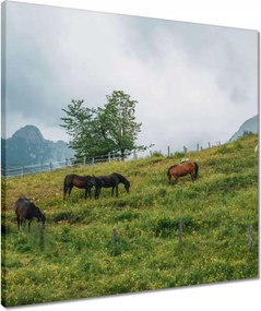 Vászonkép 50x50 Tájképek Kilátások Tájképek