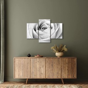 Kép - Rózsa virág részlete (90x60 cm)