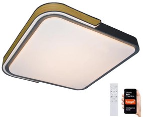 Rabalux 71146 - LED Dimmelhető mennyezeti lámpa ARILD LED/48W/230V Wi-Fi Tuya