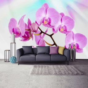 Fotótapéta - Orchidea (152,5x104 cm)