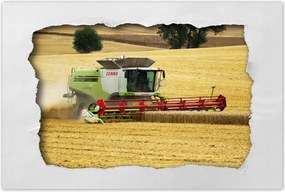 Poszterek 60x40 Kombájn Aratás