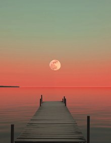 Poszter 50x65cm Hold a víz felett