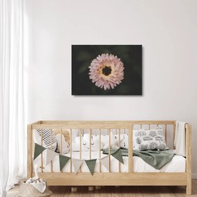 Narancsságra virág képe (üvegen) (70x50 cm)