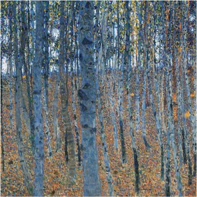 Dekoratív Fotótapéta Hálószobába Nyírerdő 250x250 Ragasztó