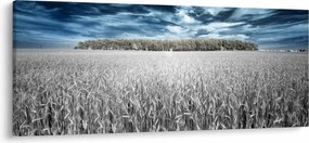 A mező képe (120x50 cm)