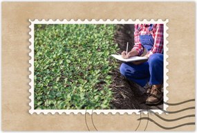 Poszterek 120x80 Modern mezőgazdaság