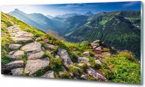 Fotó üvegkép Napsugarak erdő 125x50