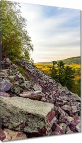 Vászonkép 80x120 Lépcső kövek hegyek