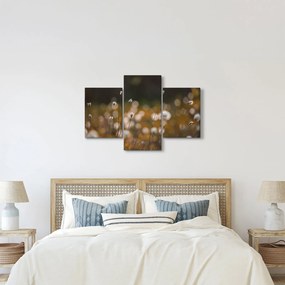 Kép - Gyapotfűvel borított rét N⁰2 (90x60 cm)