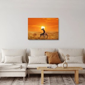 Üveg kép - Zsiráfok a Serengeti Nemzeti Parkban (70x50 cm)