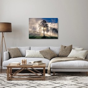 Fa a ködben képe (üvegen) (70x50 cm)