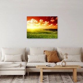 Nyári rét képe (70x50 cm)
