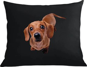 Párna+párnahuzat Tacskó Kutya Divatos Nyomtatás