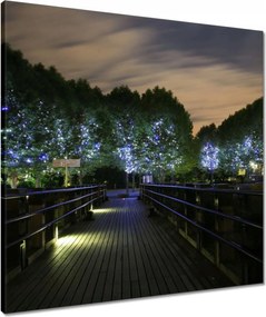 Vászonkép 60x60 Séta az éjszakában