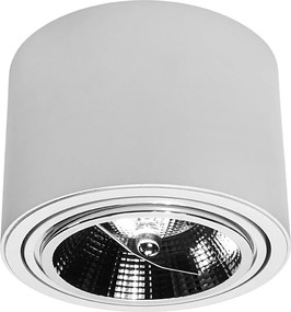 DOMENOLED 448 DOWNLIGHT Hengeres Mennyezeti Lámpa Fehér GU10/AR111 IP20