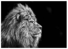 Üveg falikép, oroszlán oldalról, 70x100 cm, fekete-fehér - LION NOIR