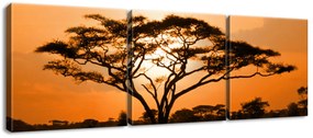 Gario Vászonkép Gyönyöru afrikai táj - 3 részes Méret: 90 x 30 cm