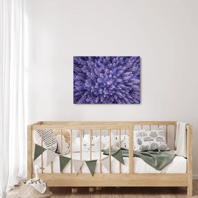 Havas fák képe (70x50 cm)