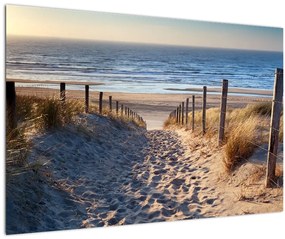 Kép - Út az északi-tengeri strandra, Hollandia (90x60 cm)