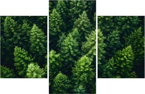 Kép - Forest (90x60 cm)