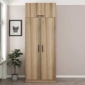 Kale Oak - 2238