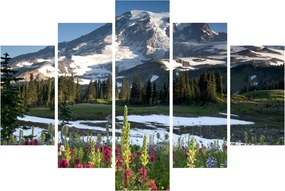 Kép - Mount Rainier (150x105 cm)
