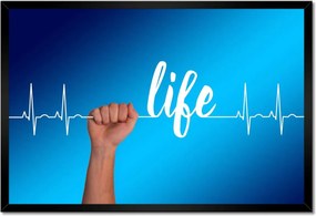 Poszterek keretben 60x40 Life