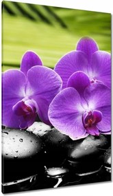 Vászonkép 80x120 Orchideák a köveken