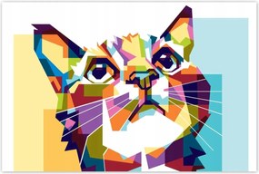 Poszterek 93x62 Absztrakt macska