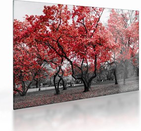 Kép - vörös fák, Central Park, New York (üvegen) (70x50 cm)