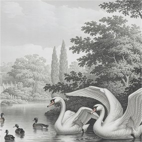 Dekoratív Fotótapéta Furnér Flizelin A természet eleganciája 250x250 Ragasztó