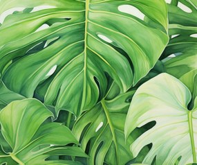 Poszter 60x50cm A levelek titkai