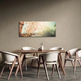 Kép - Növények eső után (120x50 cm)