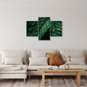 Kép - A lap részletei (90x60 cm)