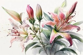 Kép - Liliomok, illusztrációk (90x60 cm)
