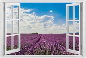 Poszterek 120x80 Levendulamező Levendula